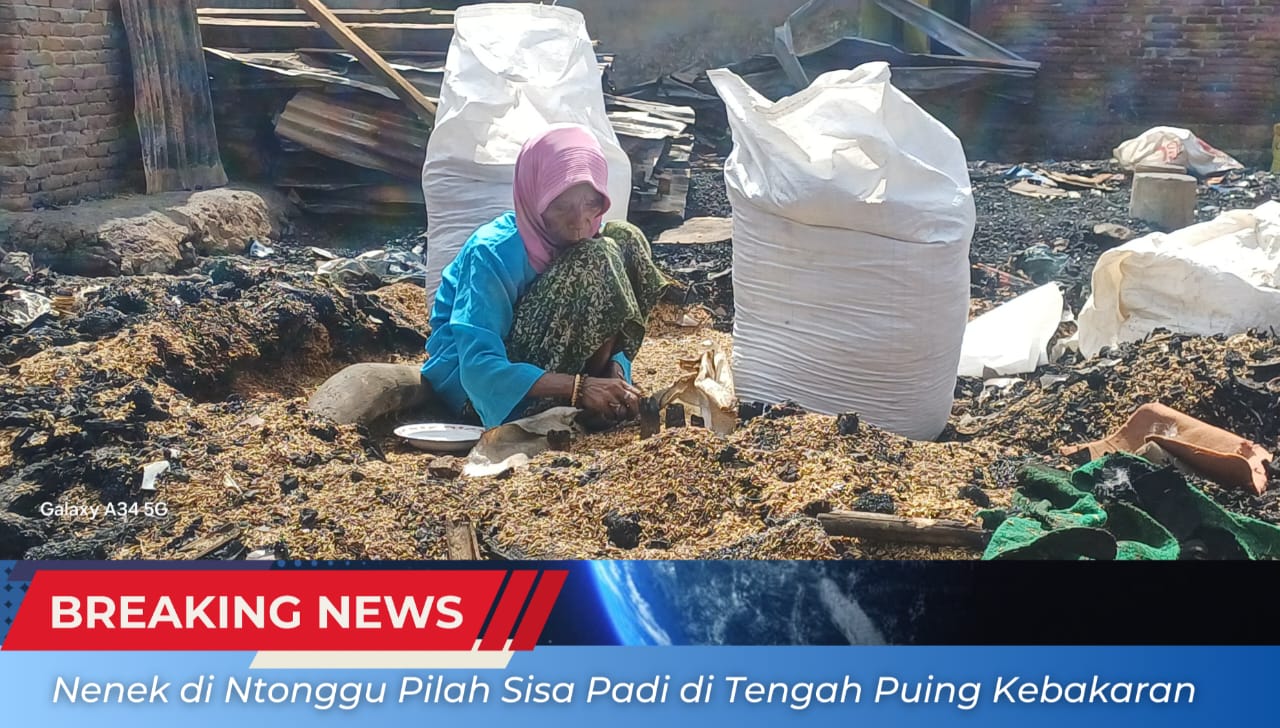 Nenek di Ntonggu Pilah Sisa Padi di Tengah Puing Kebakaran