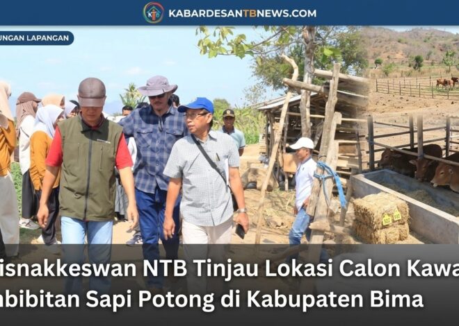 Kadisnakkeswan NTB Tinjau Lokasi Calon Kawasan Pembibitan Sapi Potong di Kabupaten Bima